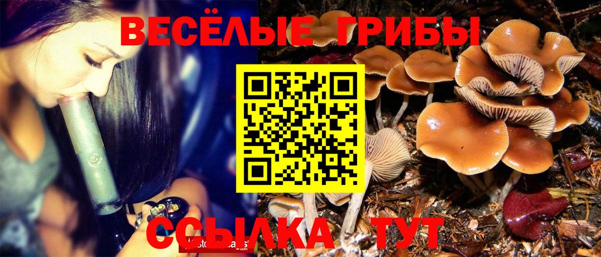 Галлюциногенные грибы GOLDEN TEACHER Долгопрудный